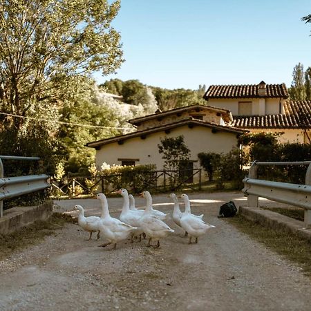 Agriturismo Le Radici Umbertide Bagian luar foto