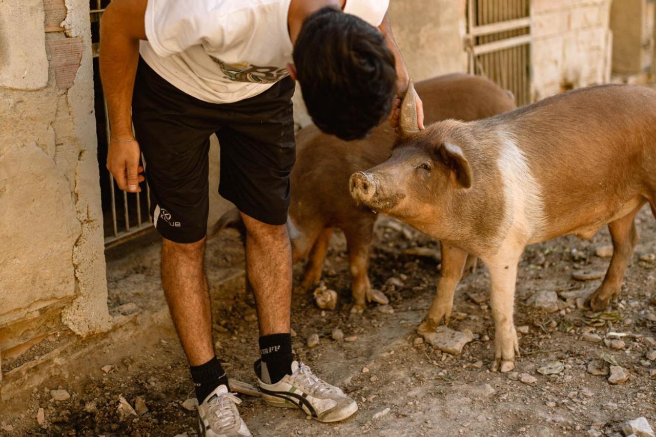 Agriturismo Le Radici Umbertide Bagian luar foto