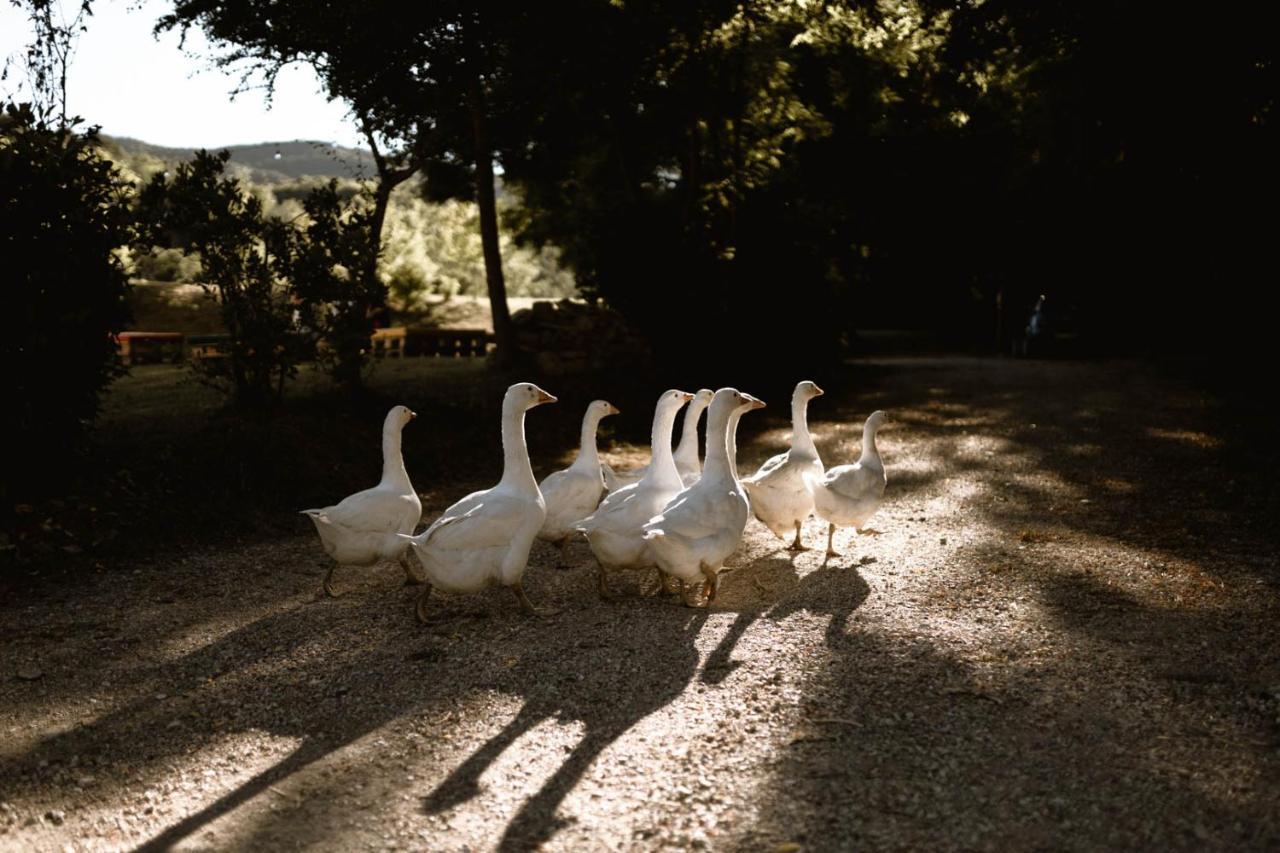 Agriturismo Le Radici Umbertide Bagian luar foto