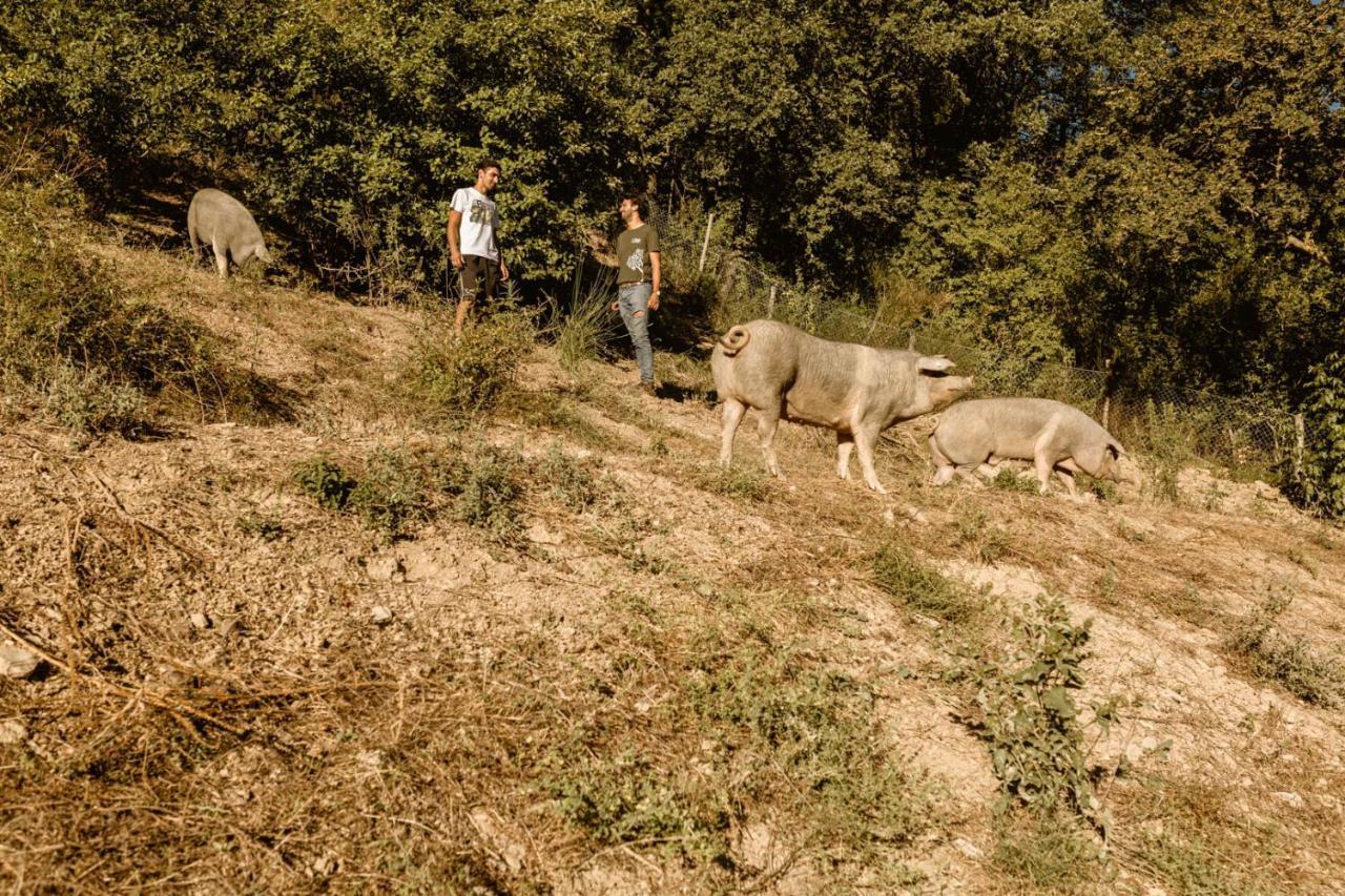 Agriturismo Le Radici Umbertide Bagian luar foto
