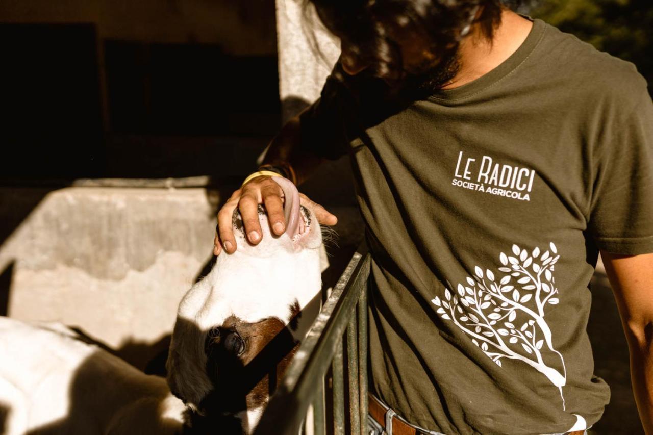 Agriturismo Le Radici Umbertide Bagian luar foto